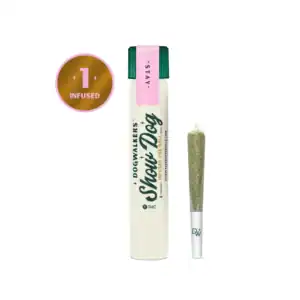 Afternoon Delight #4 [1g]-Dogwalkers